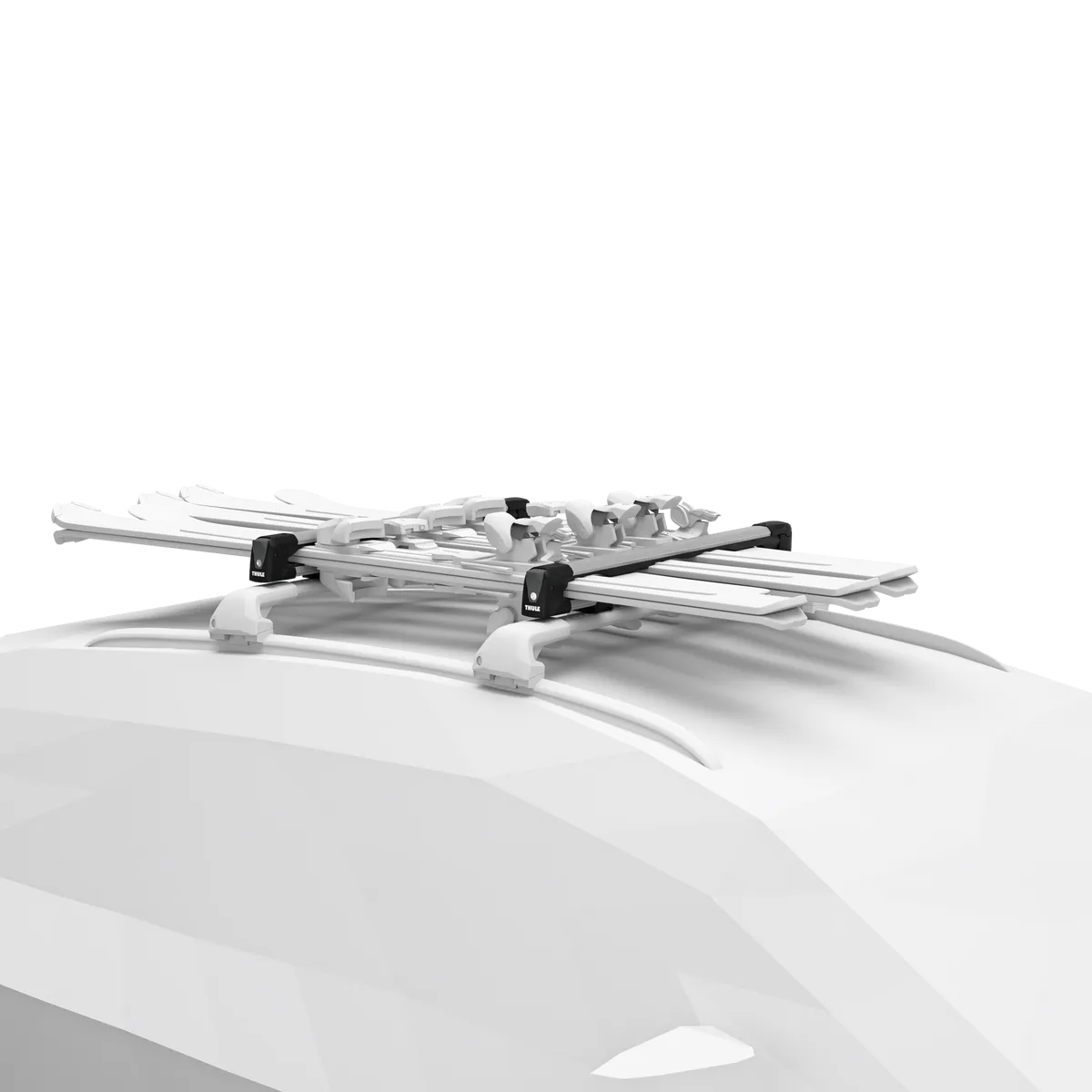 THULE SNOWPACK LARGE PROSPEED